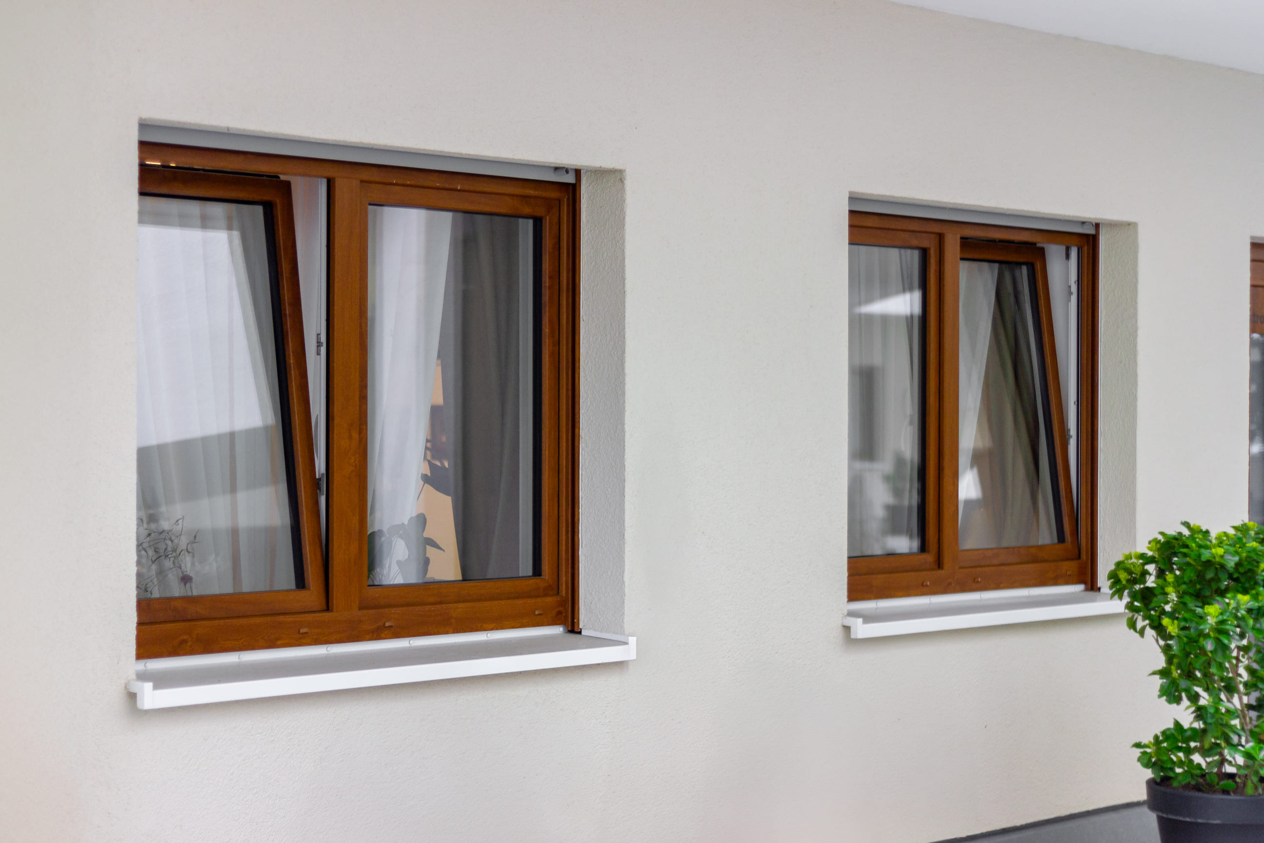 Zwei Holzfenster in Braun an einer hellen Fassade mit gruener Pflanze